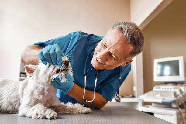 Best Emergency Root Canal Treatment in Hurt, VA